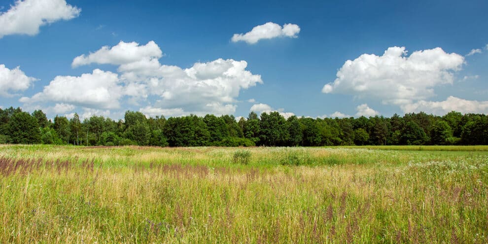 Land Q&A: Buying Land to Shoot On