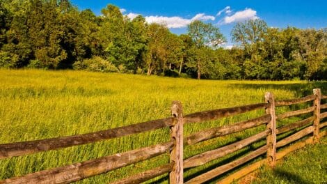 Land Q&A: Determining Highest and Best Use