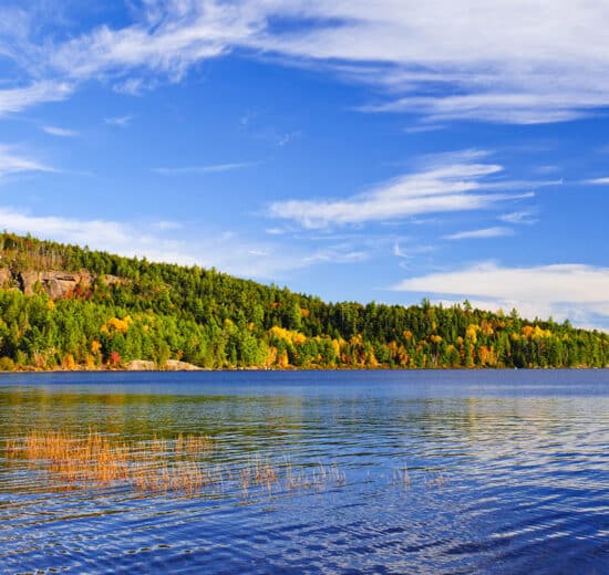 Land Q&A: Landlocked Parcel with Water Access