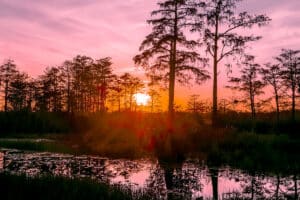 Land Q&A: Verifying Wetlands and Flood Risk Before Buying Land
