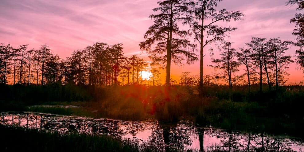 Land Q&A: Verifying Wetlands and Flood Risk Before Buying Land
