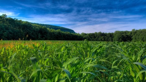 Land Values For 2013 - It's Not Just About Corn