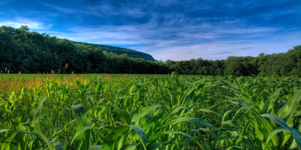 Land Values For 2013 - It's Not Just About Corn