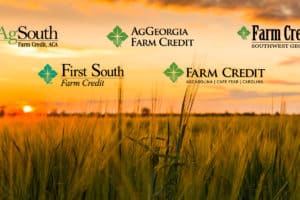 LANDFLIP Forms Affiliation with Seven Independent Farm Credit Institutions To Help Buyers Gain Access to Land Financing