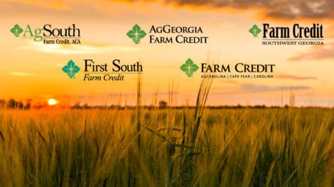 LANDFLIP Forms Affiliation with Seven Independent Farm Credit Institutions To Help Buyers Gain Access to Land Financing