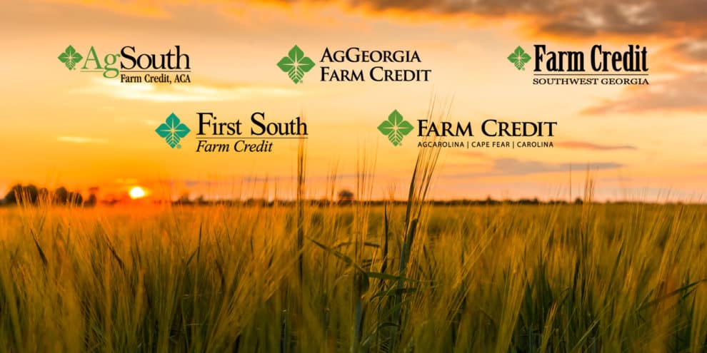 LANDFLIP Forms Affiliation with Seven Independent Farm Credit Institutions To Help Buyers Gain Access to Land Financing