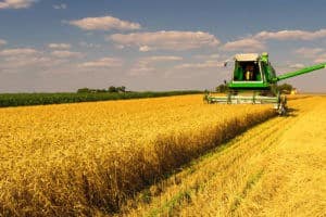 LANDTHINK Pulse: Public Divided Over Farm Subsidy Issue