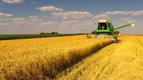 LANDTHINK Pulse: Public Divided Over Farm Subsidy Issue