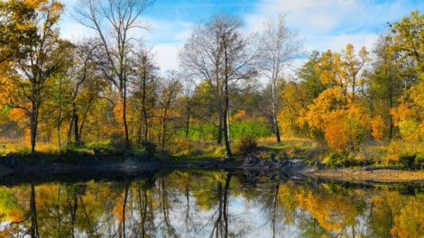 LANDTHINK Pulse: Water Feature Thought to be the Most Desirable Property Characteristic