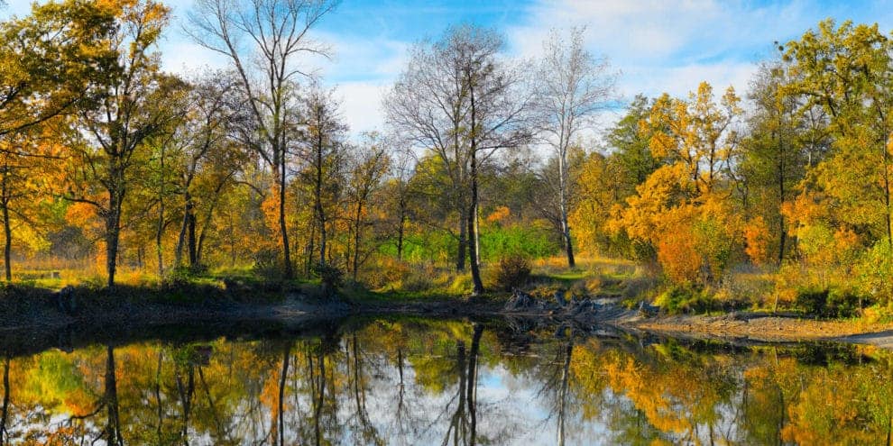 LANDTHINK Pulse: Water Feature Thought to be the Most Desirable ...