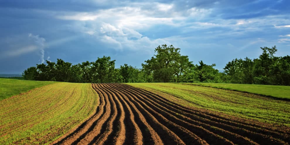 Leasing Farmland