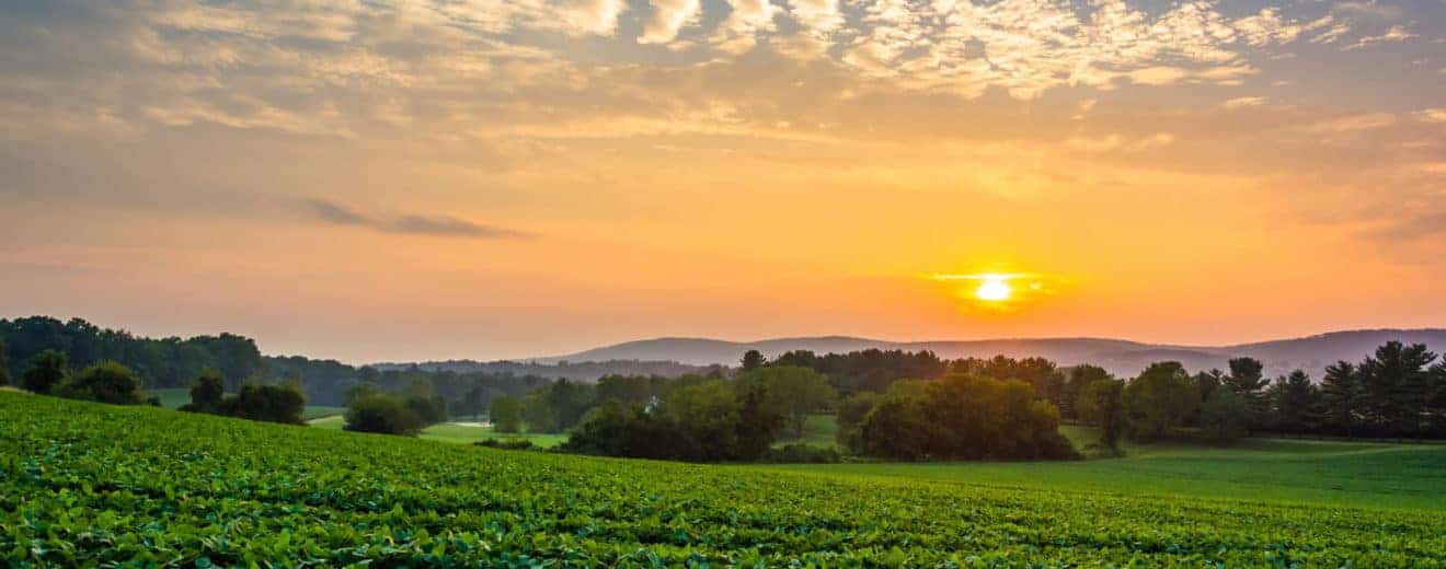 Lesser Known Advantages to Buying Land with an IRA