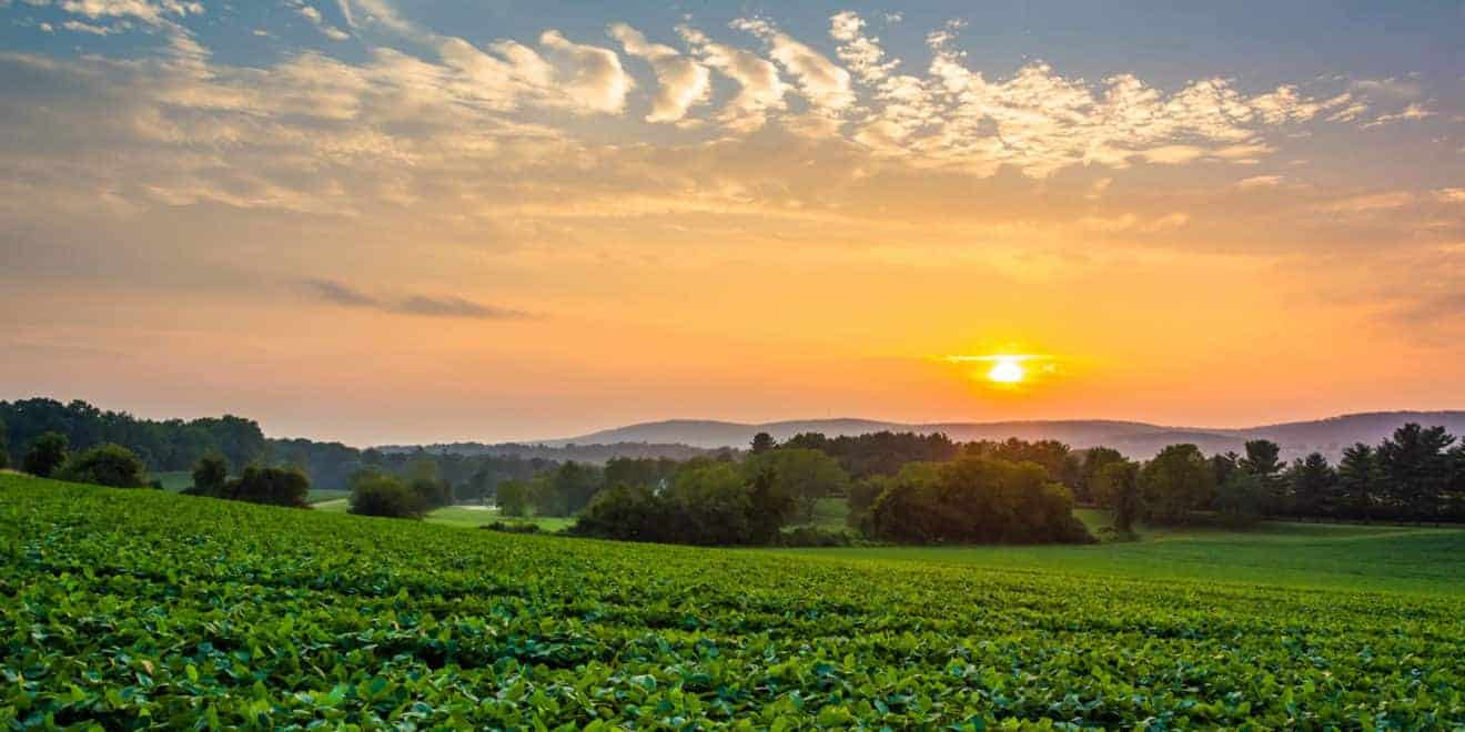 Lesser Known Advantages to Buying Land with an IRA LANDTHINK