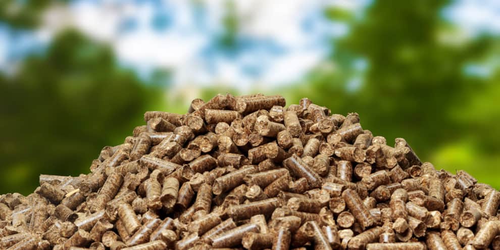 Lessons from Wood Bioenergy on Risk and Timber Market Analysis