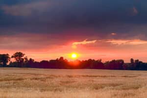 So You Got a Letter Offering to Buy Your Land? (Part 1)