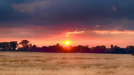 So You Got a Letter Offering to Buy Your Land? (Part 1)
