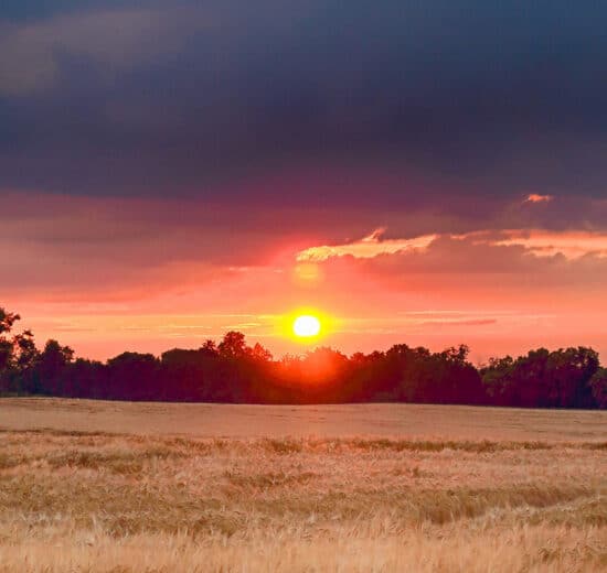 So You Got a Letter Offering to Buy Your Land? (Part 1)