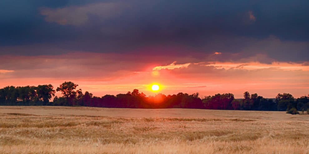 So You Got a Letter Offering to Buy Your Land? (Part 1)