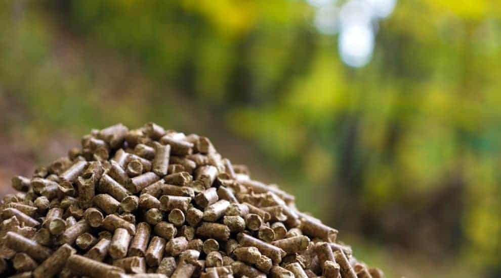 Linking Global Wood Pellet Demand with Timber Markets in the U.S. South
