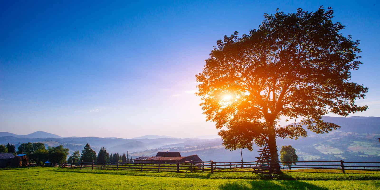 Living Healthy Means Living in the Country LANDTHINK