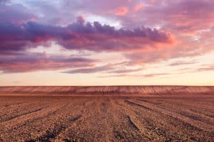 Looking Below the Surface of Farmland Values