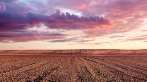 Looking Below the Surface of Farmland Values