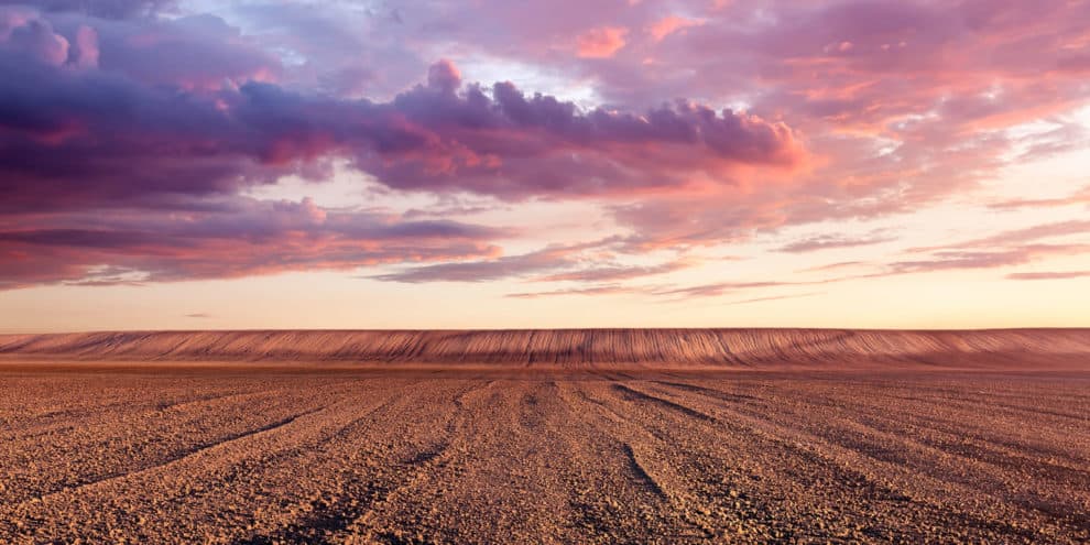 Looking Below the Surface of Farmland Values