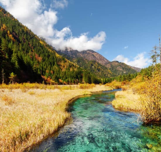 A Low-Risk Strategy For Buying Recreational Land