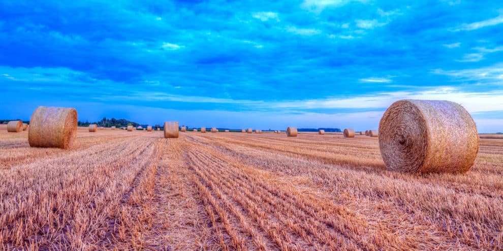 Making the Financial Argument for Farmland Investing