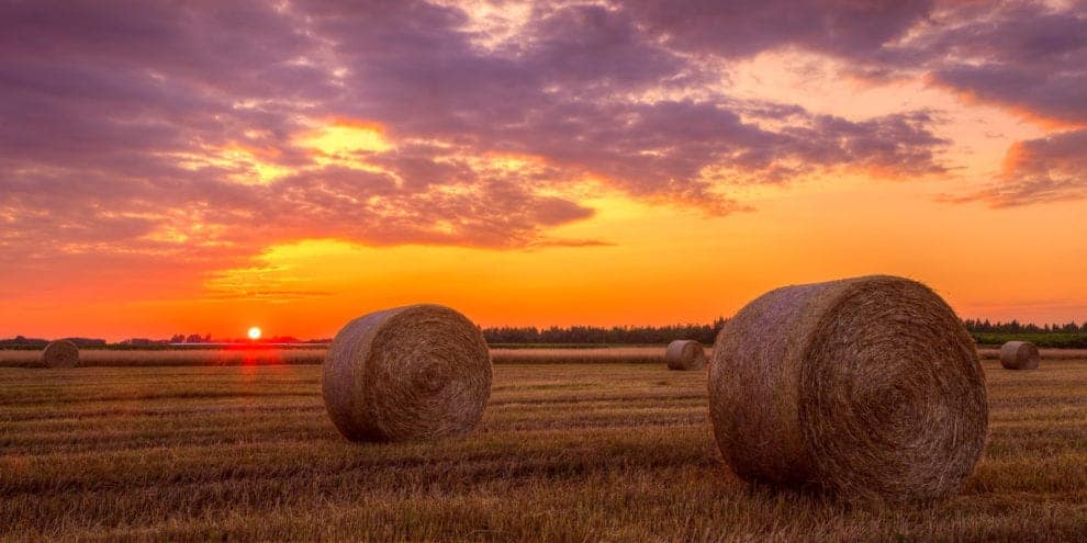 Making Your Farm Shine through Photography