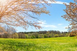 Navigating the Final Steps: Tips for a Successful Land Closing