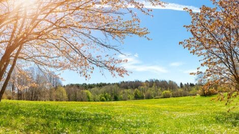 Navigating the Final Steps: Tips for a Successful Land Closing