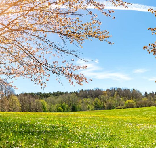 Navigating the Final Steps: Tips for a Successful Land Closing