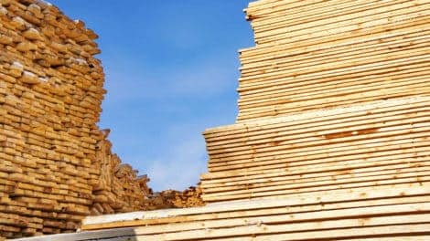 North American Softwood Lumber Production and the Value of Wood