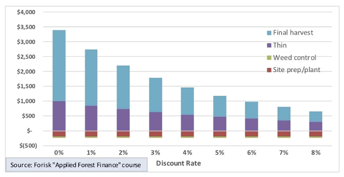 Net Present Value (NPV) at Different Discount Rates
