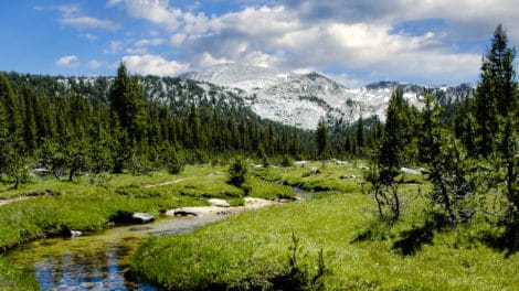 Off-Grid Rural Land is Gaining Popularity