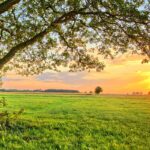 Owner Financing Land You Want to Sell