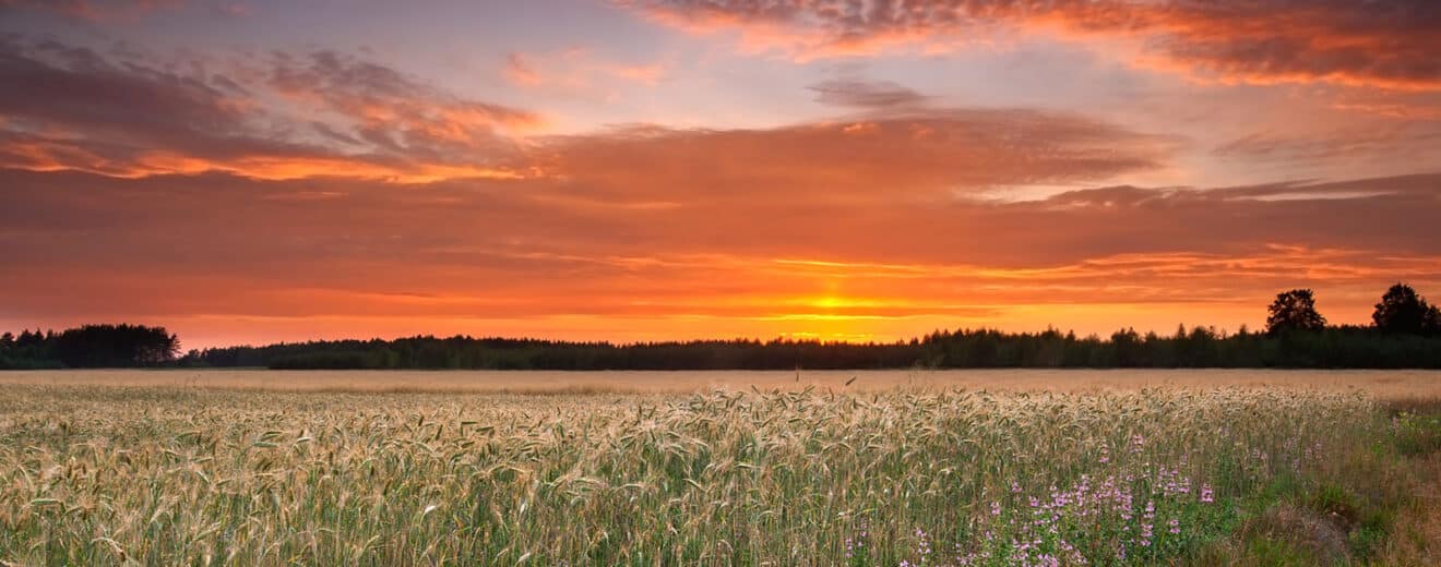 Owning Rural Land Offers Returns that Exceed the Financial