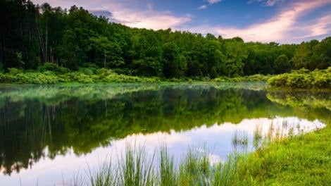 Planning a Timber Harvest on a WRP Tract