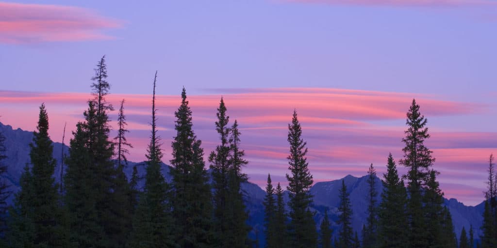 Plum Creek’s Calton is Cautiously Optimistic About Timber Demand and