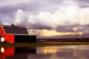 Preparing Your Farm for Flooding