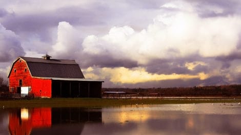 Preparing Your Farm for Flooding