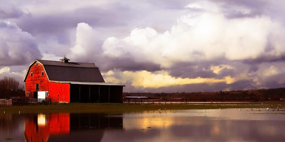 Preparing Your Farm for Flooding