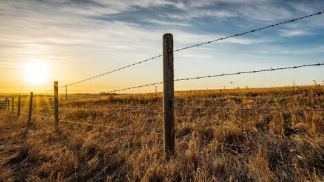 Property Lines: Boundaries are an Integral Part of Management
