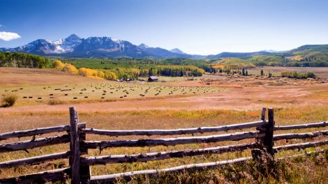 Protecting Your Ranchland