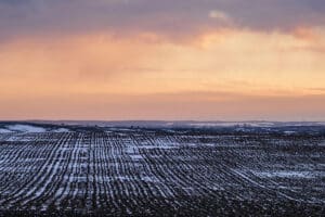 Pulse: American Hold Bold Optimism for 2026 Ag Economy