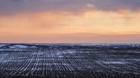 Pulse: American Hold Bold Optimism for 2026 Ag Economy