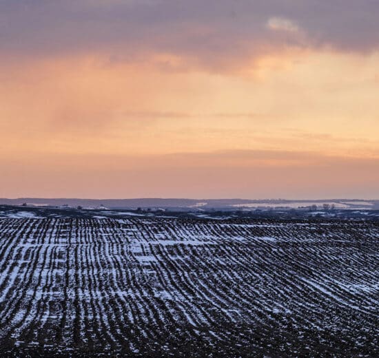 Pulse: American Hold Bold Optimism for 2026 Ag Economy