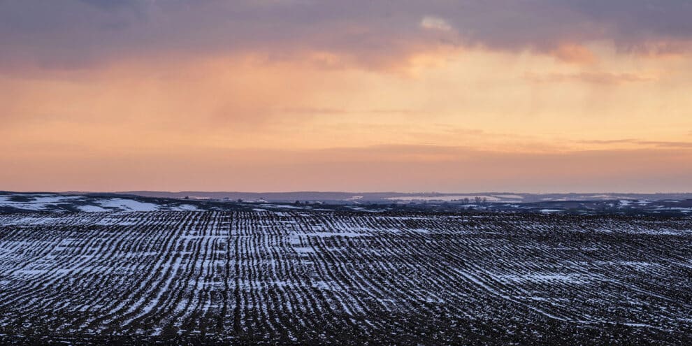 Pulse: American Hold Bold Optimism for 2026 Ag Economy