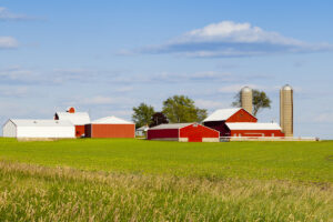 Pulse: Americans Prioritize Conservation, Forestry in Farm Bill 2023